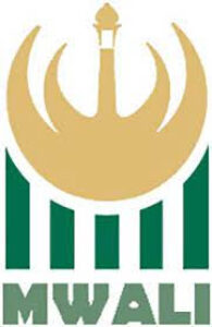 MISA (Mwali International Services Authority) Logo